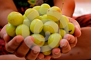 Amla areÂ small, round berries with light-green skin.Â 